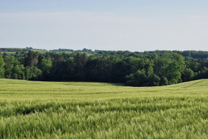 Działka na sprzedaż ostródzki Ostróda Szafranki - zdjęcie 2