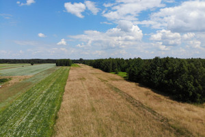 Działka na sprzedaż miński Dębe Wielkie Jędrzejnik - zdjęcie 1