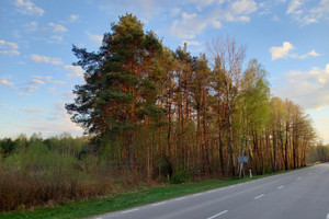 Działka na sprzedaż wołomiński Strachówka Kąty Czernickie - zdjęcie 3