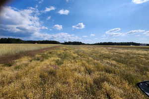 Działka na sprzedaż płoński Joniec Joniec-Kolonia - zdjęcie 3