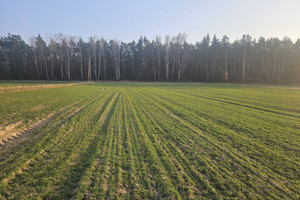 Działka na sprzedaż gnieźnieński Gniezno Lubochnia - zdjęcie 2