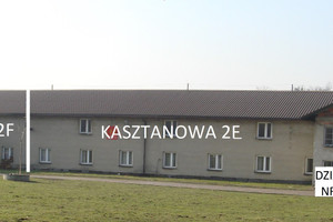 Komercyjne na sprzedaż 3000m2 gliwicki Sośnicowice Kasztanowa - zdjęcie 3