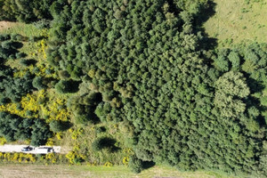 Działka na sprzedaż żyrardowski Puszcza Mariańska Lisowola - zdjęcie 3