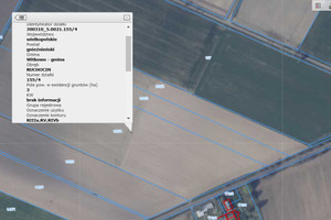 Działka na sprzedaż gnieźnieński Witkowo Ruchocin - zdjęcie 2