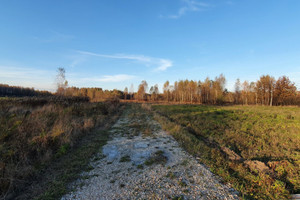 Działka na sprzedaż grodziski Żabia Wola Oddział Zagrodowa - zdjęcie 4