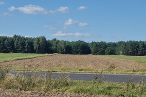 Działka na sprzedaż koniński Krzymów - zdjęcie 1