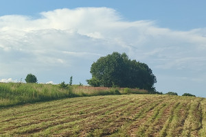 Działka na sprzedaż krakowski Jerzmanowice-Przeginia Przeginia - zdjęcie 3