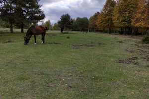 Działka na sprzedaż Częstochowa Mstowska - zdjęcie 3