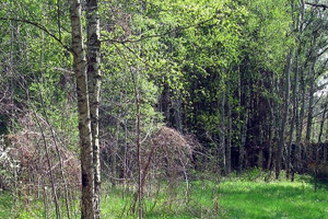 Działka na sprzedaż warszawski zachodni Leszno Wólka aleja Brzóz - zdjęcie 3