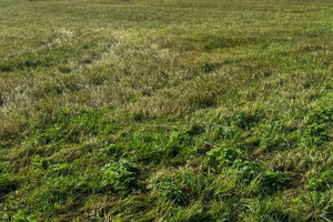 Działka na sprzedaż kłodzki Bystrzyca Kłodzka Pławnica - zdjęcie 3