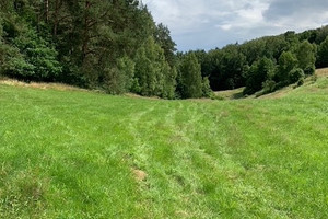 Działka na sprzedaż ostródzki Ostróda Cibory - zdjęcie 2