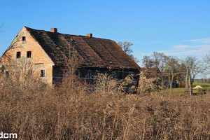 Działka na sprzedaż złotoryjski Zagrodno Radziechów - zdjęcie 1