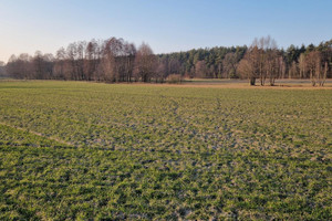 Działka na sprzedaż wyszkowski Rząśnik - zdjęcie 2