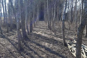 Działka na sprzedaż chełmski Dorohusk Mościska - zdjęcie 2