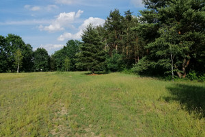 Działka na sprzedaż grodziski Żabia Wola Osowiec Mazowiecka - zdjęcie 1