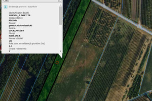 Działka na sprzedaż skierniewicki Kowiesy Paplinek - zdjęcie 1