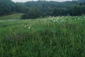 Działka na sprzedaż brzozowski Brzozów Górki - zdjęcie 2