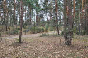 Działka na sprzedaż wołomiński Klembów Pasek - zdjęcie 1