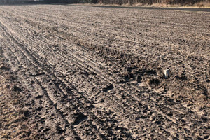 Działka na sprzedaż skierniewicki Skierniewice Sierakowice Lewe - zdjęcie 1