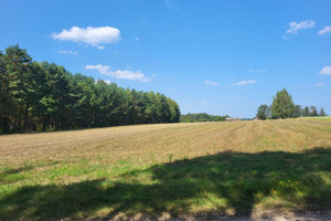 Działka na sprzedaż bełchatowski Kluki - zdjęcie 2