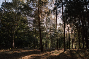 Działka na sprzedaż ostródzki Ostróda - zdjęcie 2