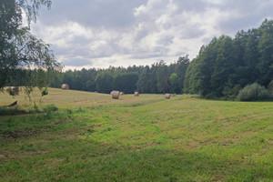 Działka na sprzedaż tczewski Tczew Zabagno - zdjęcie 2