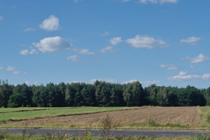 Działka na sprzedaż koniński Krzymów - zdjęcie 2