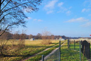 Działka na sprzedaż poddębicki Dalików Wilków - zdjęcie 1