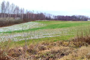 Działka na sprzedaż augustowski Bargłów Kościelny Kroszewo - zdjęcie 2