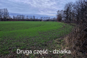 Działka na sprzedaż płocki Bodzanów Białobrzegi Krótka - zdjęcie 2