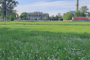 Działka na sprzedaż kutnowski Krośniewice Łęczycka - zdjęcie 1