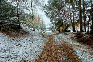 Działka na sprzedaż kaliski Mycielin Korzeniew - zdjęcie 1