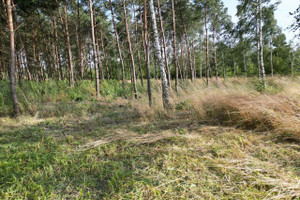 Działka na sprzedaż gnieźnieński Łubowo Owieczki - zdjęcie 2