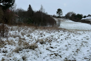 Działka na sprzedaż krakowski Michałowice Wola Więcławska - zdjęcie 2