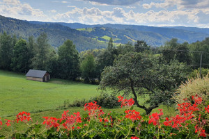 Mieszkanie na sprzedaż 64m2 Bielsko-Biała - zdjęcie 2