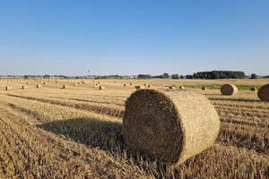 Mieszkanie na sprzedaż 48m2 tczewski Subkowy Radostowo Pielgrzymów - zdjęcie 1