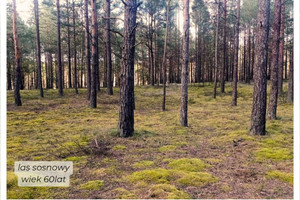 Działka na sprzedaż chojnicki Konarzyny Zielona Chocina - zdjęcie 2