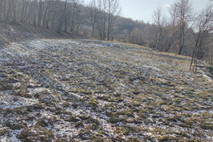 Działka na sprzedaż Kraków Dębniki Tyniec Nad Czerną - zdjęcie 3