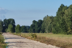 Działka na sprzedaż bełchatowski Drużbice Zwierzyniec - zdjęcie 1