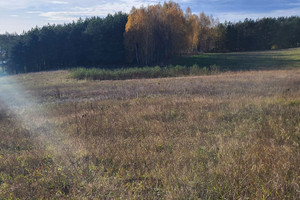 Działka na sprzedaż kościerski Nowa Karczma Grabowo Kościerskie - zdjęcie 3