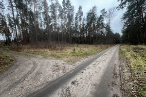 Działka na sprzedaż żarski Lipinki Łużyckie Grotów - zdjęcie 1