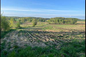 Działka na sprzedaż zgorzelecki Zgorzelec Białogórze - zdjęcie 2