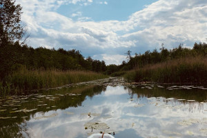 Działka na sprzedaż ostródzki Dąbrówno Młyn Zamkowy - zdjęcie 1