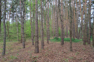 Działka na sprzedaż pabianicki Lutomiersk Dziektarzew - zdjęcie 1