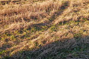 Działka na sprzedaż wschowski Wschowa - zdjęcie 3