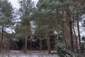 Działka na sprzedaż łódzki wschodni Tuszyn Bądzyń - zdjęcie 3