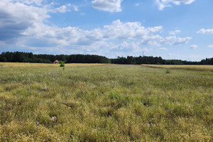 Działka na sprzedaż płoński Joniec Joniec-Kolonia - zdjęcie 2