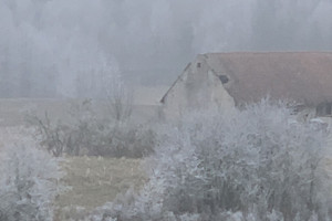 Działka na sprzedaż węgorzewski Budry Góry - zdjęcie 3