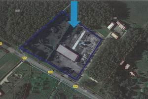 Komercyjne na sprzedaż 12190m2 golubsko-dobrzyński Radomin Szafarnia - zdjęcie 1