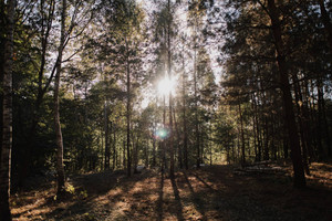 Działka na sprzedaż ostródzki Ostróda - zdjęcie 1